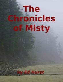 The Chronicles of Misty Read online