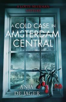 A Cold Case in Amsterdam Central Read online