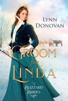 A Groom for Linda (The Blizzard Brides Book 4) Read online