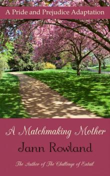 A Matchmaking Mother Read online