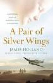 A Pair of Silver Wings Read online