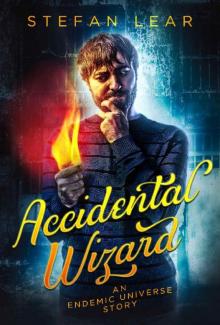 Accidental Wizard Read online