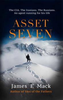 Asset Seven Read online