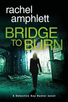Bridge to Burn Read online