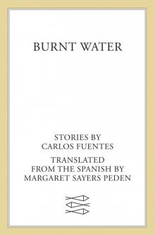 Burnt Water Read online