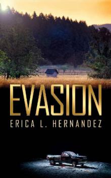 Considerable Destruction Series (Book 1): Evasion (