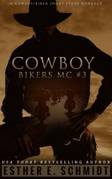 Cowboy Bikers MC #3 Read online