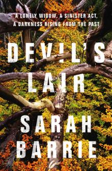 Devil's Lair Read online