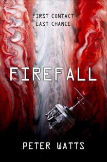Firefall Read online