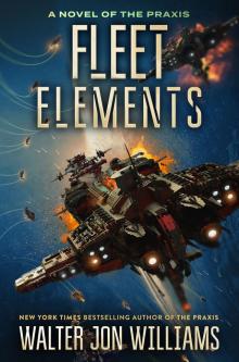 Fleet Elements Read online