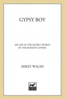 Gypsy Boy Read online