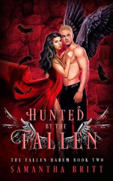 Hunted by the Fallen: A Fallen Angel Reverse Harem Novel (The Fallen Harem Book 2) Read online