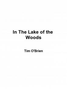 In the Lake of the Woods Read online