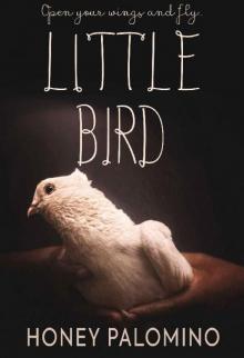 Little Bird Read online