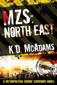 MZS- North East Read online