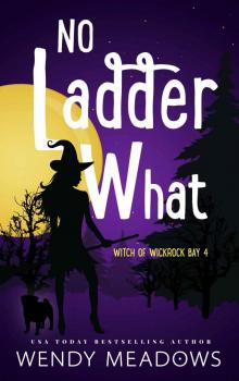 No Ladder What (Witch of Wickrock Bay Book 4) Read online