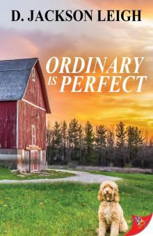 Ordinary is Perfect Read online