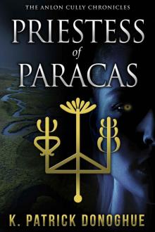 Priestess of Paracas Read online