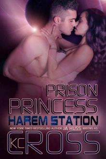 Prison Princess Read online