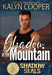 Shadow in the Mountain (Shadow SEALs) Read online