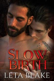 Slow Birth Read online