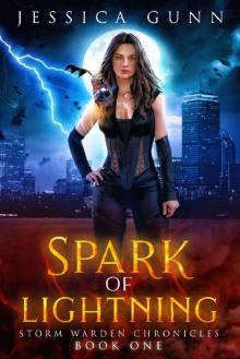 Spark of Lightning: Storm Warden Chronicles Book 1 Read online