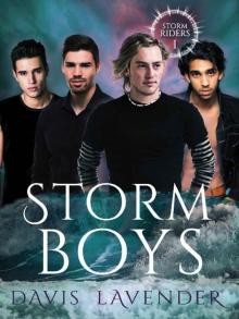 Storm Boys Read online