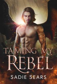 Taming My Rebel: A Dragon Shifter Romance Read online