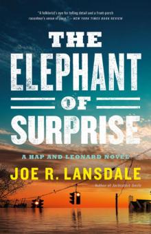 The Elephant of Surprise Read online