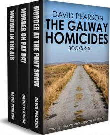 The Galway Homicides Box Set 2 Read online