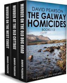 The Galway Homicides Box Set Read online