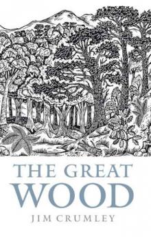 The Great Wood Read online