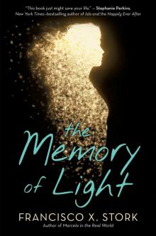 The Memory of Light Read online