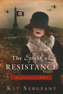 The Spark of Resistance Read online