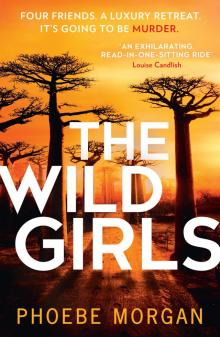 The Wild Girls Read online