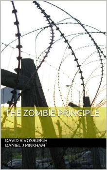 The Zombie Principle