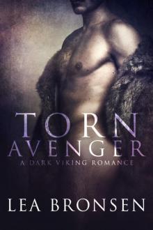 Torn Avenger Read online