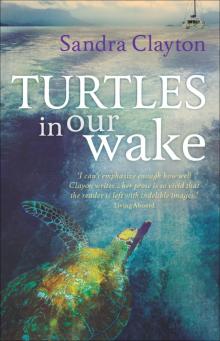 Turtles in Our Wake Read online