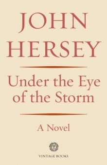 Under the Eye of the Storm Read online
