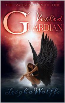 Veiled Guardian: A Borne of Angels Novel (The Awakening Book 1) Read online