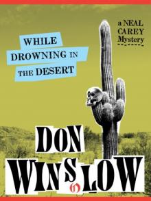 While Drowning in the Desert Read online