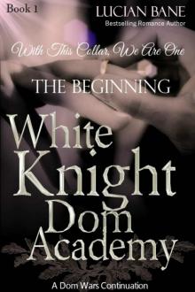White Knight Dom Academy Read online