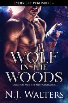 Wolf in the Woods Read online