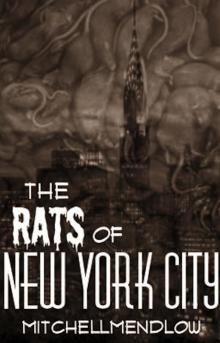 The Rats of New York City Read online