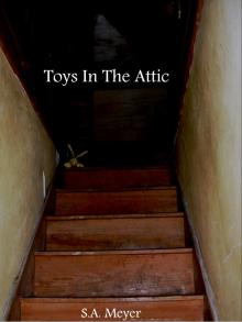 Toys In The Attic Read online