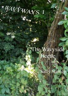 The Wavyside Beetle Read online