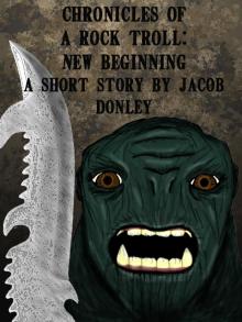 Chronicles of a Rock Troll:  New Beginning Read online