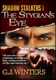 The Stygian's Eye (Shadow Stalkers 1) Read online