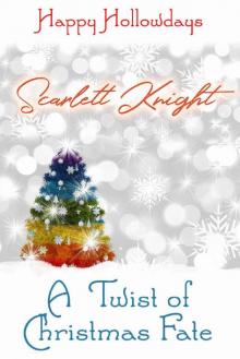 A Twist of Christmas Fate Read online