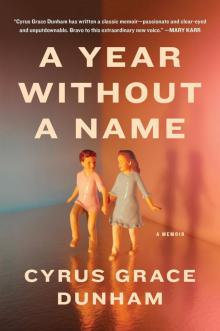 A Year Without a Name Read online